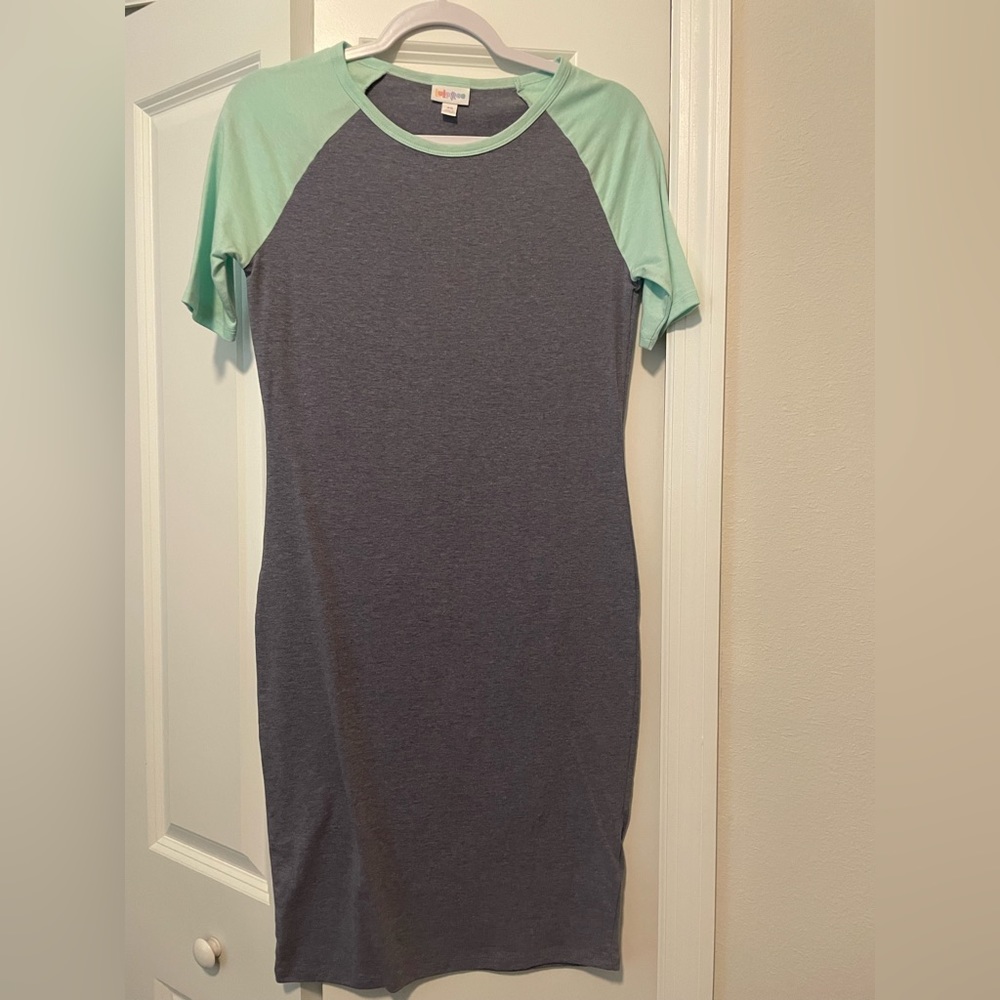 NWOT Lularoe Julia Dress